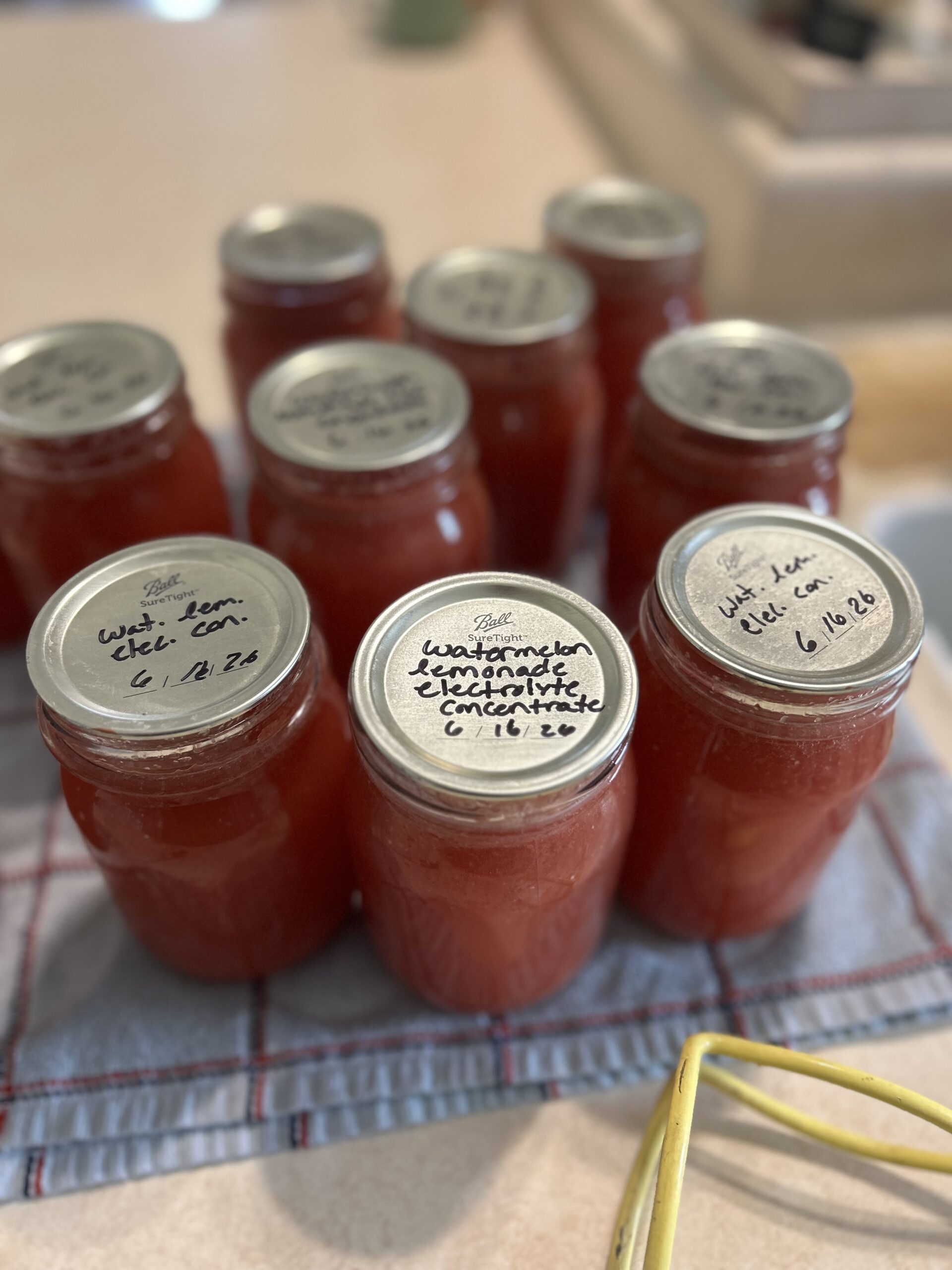 Canning Watermelon Lemonade Electrolyte Concentrate